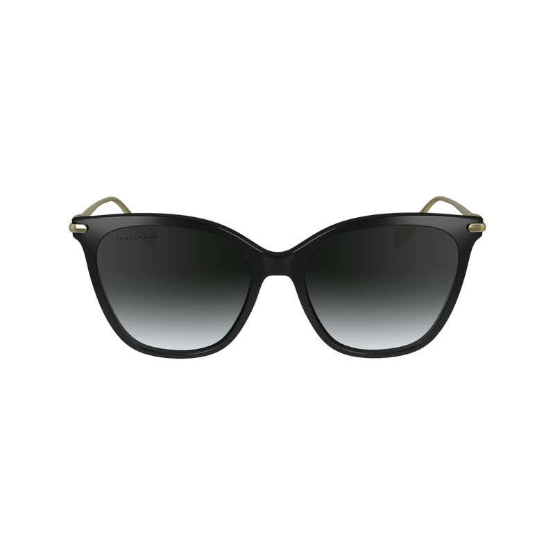 Women Longchamp Acetate / Metal Sunglasses Black | Philippines-752WZSQFY