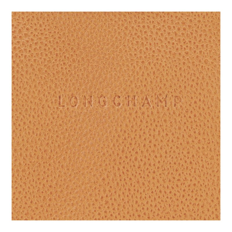 Women Longchamp Le Foulonné S Crossbody Bag Brown | Philippines-348UGHOZT